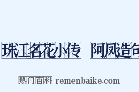 珠江名花小传·阿凤造句是什么意思的图片
